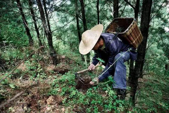 怎么样在家也能赚钱 在家赚钱的工作有哪些