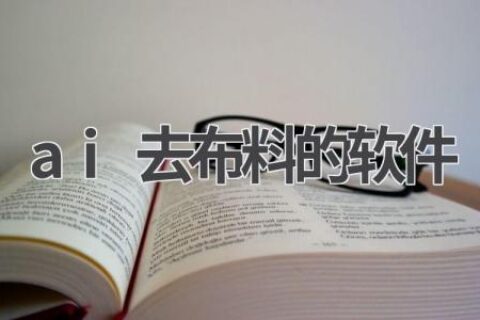 AI去布料软件：技术与风险