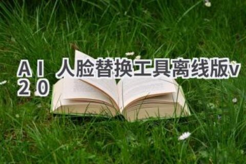 AI人脸替换工具离线版v2.0：保护隐私，畅享换脸乐趣