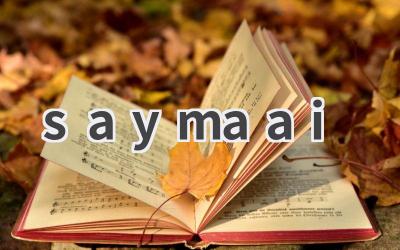 SayMa AI：探索AI语音交互的无限可能
