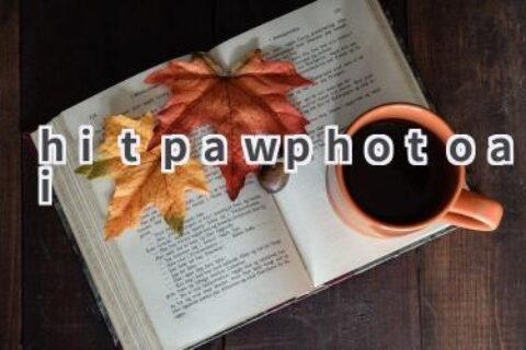 HitPaw Photo AI：图像处理利器