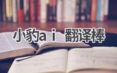 小豹AI翻译棒评测：实时翻译，沟通无障碍